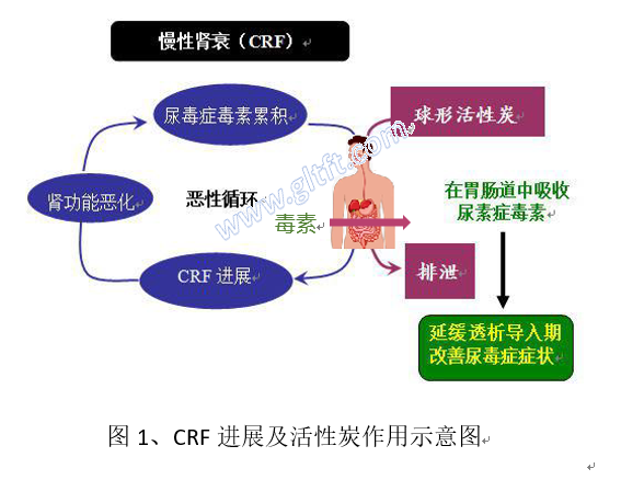 fig1-CRF進(jìn)展及活性炭作用示意圖