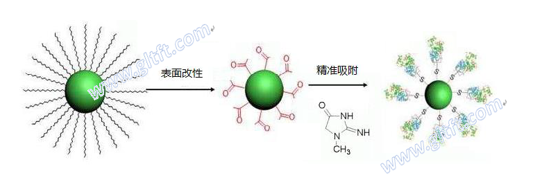 fig5-精準(zhǔn)吸附機(jī)理